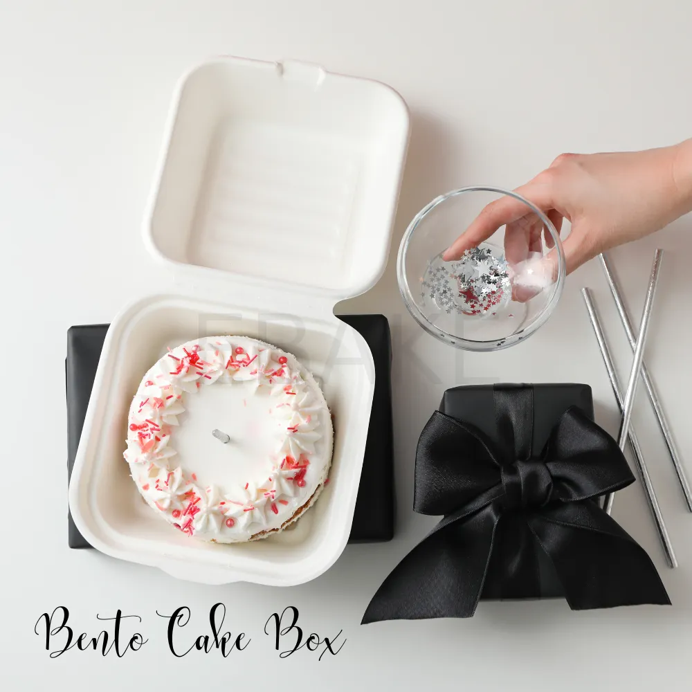 Bento Cake Box - Large (Set of 5)